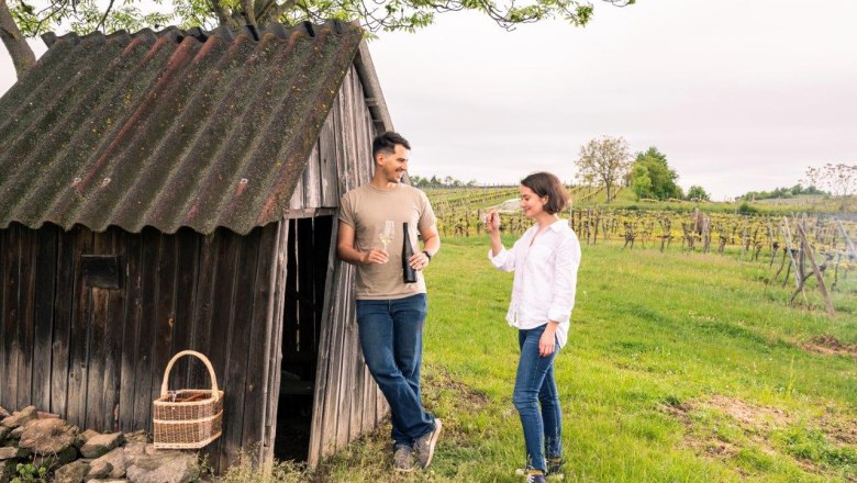 Weinfrühling im Weinland Traisental, © www.pov.at Weinfrühling im Weinland Traisental, © www.pov.at