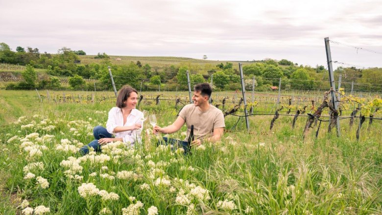 Weinfrühling im Weinland Traisental, © www.pov.at Weinfrühling im Weinland Traisental, © www.pov.at