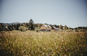 Gschoadwirt, © Gschoadwirt Gschoadwirt, © Gschoadwirt