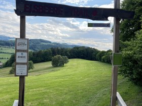 Prinzessin_Trailstart, &copy; MTBStP