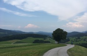 Triesting G&ouml;lsental Radweg, &copy; Mostviertel Tourismus