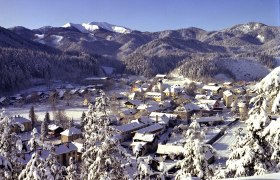 Winterliche Landschaft von St. Aegyd mit schneebedeckten H&auml;usern und Bergen im Hintergrund.
