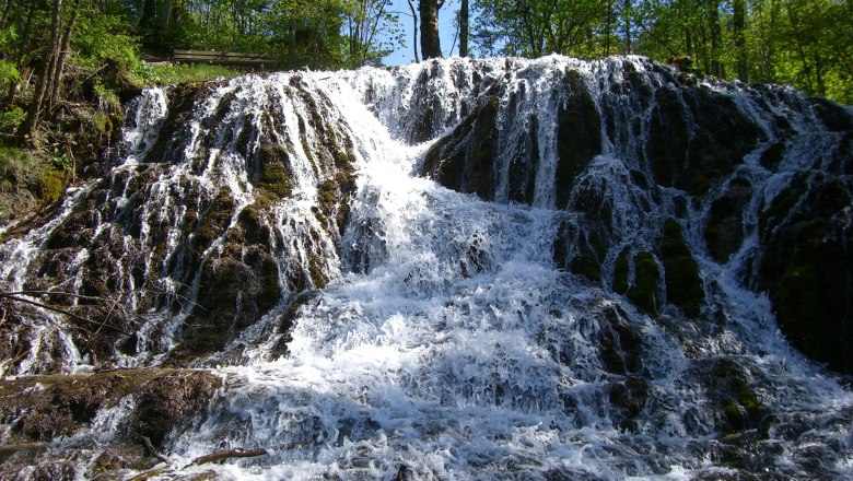 Ein Wasserfall fließt über moosbedeckte Felsen in einem Wald.