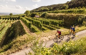 Die sanften H&uuml;gel des Weinlandes laden zu einer erfrischenden Mountainbike-Tour ein. Radfahrer gleiten durch die malerischen Weinberge, umgeben von &uuml;ppigem Gr&uuml;n und der warmen Sonne, w&auml;hrend die frische Luft die Sinne belebt. Ein unvergessliches Erlebnis f&uuml;r Naturliebhaber und Abenteuerlustige.