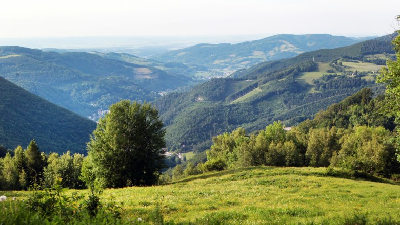 Panoramablick vom Muckenkogel auf gr&uuml;ne H&uuml;gel und T&auml;ler.