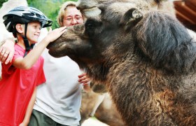 Das Kameltheater bietet Spaß für Groß und Klein, © Mostviertel Tourismus, weinfranz.at