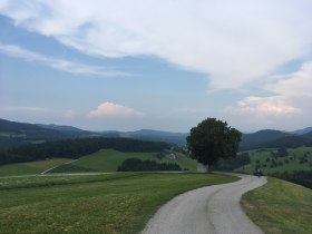 Triesting G&ouml;lsental Radweg, &copy; Mostviertel Tourismus