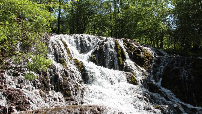 Ein Wasserfall fließt über moosbedeckte Felsen, umgeben von grünen Bäumen.