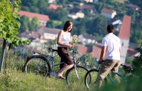 In den Weinbergen von Nußdorf ob der Traisen, © Mostviertel Tourismus, weinfranz.at