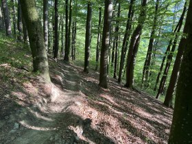 IMG_0635, &copy; MTBStP