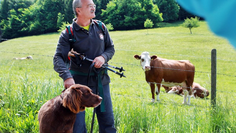 Ein Mann mit Hund und Wanderstöcken steht vor einer Weide mit Kühen.