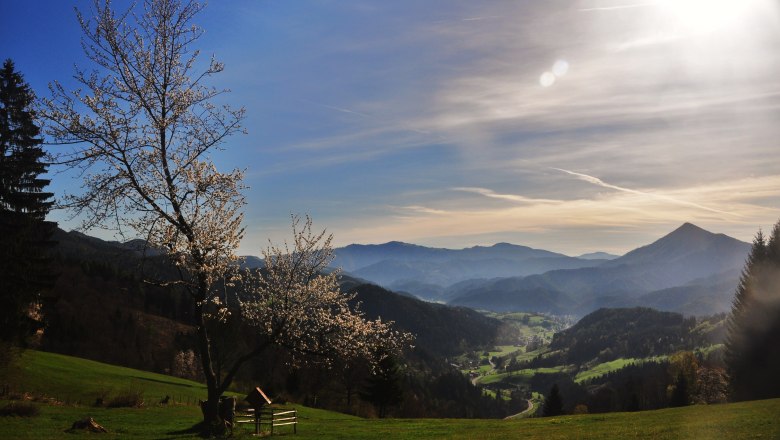 Blick auf Türnitz, © Größbacher Hubert