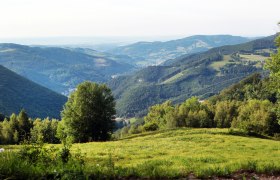 Panoramablick vom Muckenkogel auf grüne Hügel und Täler.