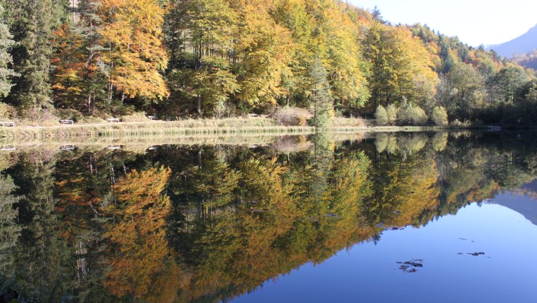 Ein ruhiger See spiegelt herbstlich gefärbte Bäume wider, die am Ufer stehen.