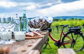 e-bike-tour-2_by-behpournia-arman, © Arman Kalteis